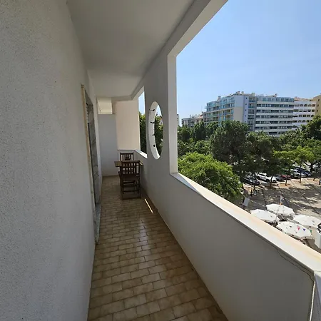 Oceanic Opulence Delux